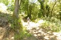 20220709-125926-[PAUxl]